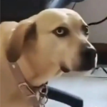 努力前进的头像